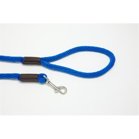 PURPLE PEBBLE 6 ft. x 0.37 in. Leedz Medium Blue Leash PU394742